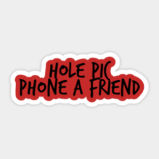 Anatomy of a Hole Pic Sticker